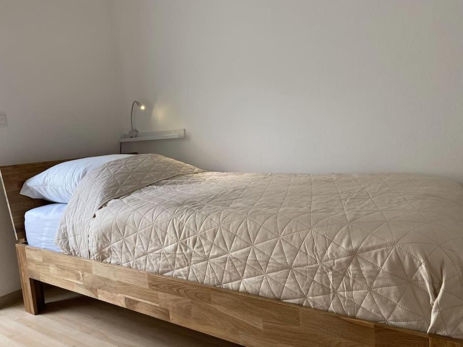 Neu Apartment In Schloss Naehe,Parkplatz, Netflix Sögel Exterior foto